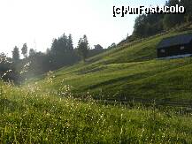 [P04]  -- <small>// FĂRĂ DESCRIERE</small> » foto by Romeo2011
 - 
<span class="allrVoted glyphicon glyphicon-heart hidden" id="av255862"></span>
<a class="m-l-10 hidden" id="sv255862" onclick="voting_Foto_DelVot(,255862,9768)" role="button">șterge vot <span class="glyphicon glyphicon-remove"></span></a>
<a id="v9255862" class=" c-red"  onclick="voting_Foto_SetVot(255862)" role="button"><span class="glyphicon glyphicon-heart-empty"></span> <b>LIKE</b> = Votează poza</a> <img class="hidden"  id="f255862W9" src="/imagini/loader.gif" border="0" /><span class="AjErrMes hidden" id="e255862ErM"></span>