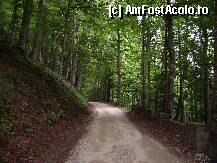 [P12] Drumul spre Stana Regala. Se poate ajunge si cu masina dar este mai frumos pe jos. » foto by vali_tulcea
 - 
<span class="allrVoted glyphicon glyphicon-heart hidden" id="av239855"></span>
<a class="m-l-10 hidden" id="sv239855" onclick="voting_Foto_DelVot(,239855,9773)" role="button">șterge vot <span class="glyphicon glyphicon-remove"></span></a>
<a id="v9239855" class=" c-red"  onclick="voting_Foto_SetVot(239855)" role="button"><span class="glyphicon glyphicon-heart-empty"></span> <b>LIKE</b> = Votează poza</a> <img class="hidden"  id="f239855W9" src="/imagini/loader.gif" border="0" /><span class="AjErrMes hidden" id="e239855ErM"></span>