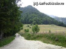 [P14] Drumul spre Stana Regala. De fapt aproape ajunsesem.... » foto by vali_tulcea
 - 
<span class="allrVoted glyphicon glyphicon-heart hidden" id="av239860"></span>
<a class="m-l-10 hidden" id="sv239860" onclick="voting_Foto_DelVot(,239860,9773)" role="button">șterge vot <span class="glyphicon glyphicon-remove"></span></a>
<a id="v9239860" class=" c-red"  onclick="voting_Foto_SetVot(239860)" role="button"><span class="glyphicon glyphicon-heart-empty"></span> <b>LIKE</b> = Votează poza</a> <img class="hidden"  id="f239860W9" src="/imagini/loader.gif" border="0" /><span class="AjErrMes hidden" id="e239860ErM"></span>