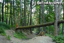 [P20] Spre cascada Urlatoarea » foto by vali_tulcea
 - 
<span class="allrVoted glyphicon glyphicon-heart hidden" id="av239973"></span>
<a class="m-l-10 hidden" id="sv239973" onclick="voting_Foto_DelVot(,239973,9773)" role="button">șterge vot <span class="glyphicon glyphicon-remove"></span></a>
<a id="v9239973" class=" c-red"  onclick="voting_Foto_SetVot(239973)" role="button"><span class="glyphicon glyphicon-heart-empty"></span> <b>LIKE</b> = Votează poza</a> <img class="hidden"  id="f239973W9" src="/imagini/loader.gif" border="0" /><span class="AjErrMes hidden" id="e239973ErM"></span>