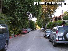 [P41] Strada principala din Platanias » foto by ionescunic
 - 
<span class="allrVoted glyphicon glyphicon-heart hidden" id="av240802"></span>
<a class="m-l-10 hidden" id="sv240802" onclick="voting_Foto_DelVot(,240802,9800)" role="button">șterge vot <span class="glyphicon glyphicon-remove"></span></a>
<a id="v9240802" class=" c-red"  onclick="voting_Foto_SetVot(240802)" role="button"><span class="glyphicon glyphicon-heart-empty"></span> <b>LIKE</b> = Votează poza</a> <img class="hidden"  id="f240802W9" src="/imagini/loader.gif" border="0" /><span class="AjErrMes hidden" id="e240802ErM"></span>