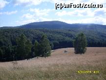 [P03]  -- <small>// FĂRĂ DESCRIERE</small> » foto by clauyce77
 - 
<span class="allrVoted glyphicon glyphicon-heart hidden" id="av241000"></span>
<a class="m-l-10 hidden" id="sv241000" onclick="voting_Foto_DelVot(,241000,9809)" role="button">șterge vot <span class="glyphicon glyphicon-remove"></span></a>
<a id="v9241000" class=" c-red"  onclick="voting_Foto_SetVot(241000)" role="button"><span class="glyphicon glyphicon-heart-empty"></span> <b>LIKE</b> = Votează poza</a> <img class="hidden"  id="f241000W9" src="/imagini/loader.gif" border="0" /><span class="AjErrMes hidden" id="e241000ErM"></span>