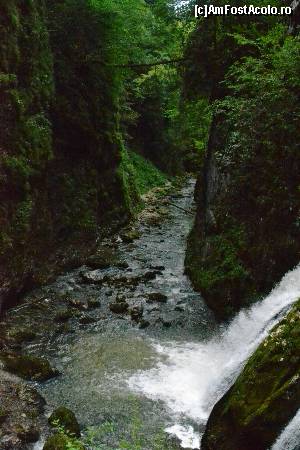 [P09] Cheile Galbenei » foto by NORU CRISTIAN
 - 
<span class="allrVoted glyphicon glyphicon-heart hidden" id="av551505"></span>
<a class="m-l-10 hidden" id="sv551505" onclick="voting_Foto_DelVot(,551505,9813)" role="button">șterge vot <span class="glyphicon glyphicon-remove"></span></a>
<a id="v9551505" class=" c-red"  onclick="voting_Foto_SetVot(551505)" role="button"><span class="glyphicon glyphicon-heart-empty"></span> <b>LIKE</b> = Votează poza</a> <img class="hidden"  id="f551505W9" src="/imagini/loader.gif" border="0" /><span class="AjErrMes hidden" id="e551505ErM"></span>