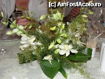 [P36] Aranjamentul floral » foto by dananecula*
 - 
<span class="allrVoted glyphicon glyphicon-heart hidden" id="av241493"></span>
<a class="m-l-10 hidden" id="sv241493" onclick="voting_Foto_DelVot(,241493,9819)" role="button">șterge vot <span class="glyphicon glyphicon-remove"></span></a>
<a id="v9241493" class=" c-red"  onclick="voting_Foto_SetVot(241493)" role="button"><span class="glyphicon glyphicon-heart-empty"></span> <b>LIKE</b> = Votează poza</a> <img class="hidden"  id="f241493W9" src="/imagini/loader.gif" border="0" /><span class="AjErrMes hidden" id="e241493ErM"></span>