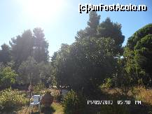 [P11] imagine din gradina » foto by amero
 - 
<span class="allrVoted glyphicon glyphicon-heart hidden" id="av471695"></span>
<a class="m-l-10 hidden" id="sv471695" onclick="voting_Foto_DelVot(,471695,9828)" role="button">șterge vot <span class="glyphicon glyphicon-remove"></span></a>
<a id="v9471695" class=" c-red"  onclick="voting_Foto_SetVot(471695)" role="button"><span class="glyphicon glyphicon-heart-empty"></span> <b>LIKE</b> = Votează poza</a> <img class="hidden"  id="f471695W9" src="/imagini/loader.gif" border="0" /><span class="AjErrMes hidden" id="e471695ErM"></span>