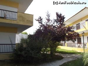 [P40] In interiorul complexului Ioli din Skala Fourkas.  » foto by irinad
 - 
<span class="allrVoted glyphicon glyphicon-heart hidden" id="av579753"></span>
<a class="m-l-10 hidden" id="sv579753" onclick="voting_Foto_DelVot(,579753,9904)" role="button">șterge vot <span class="glyphicon glyphicon-remove"></span></a>
<a id="v9579753" class=" c-red"  onclick="voting_Foto_SetVot(579753)" role="button"><span class="glyphicon glyphicon-heart-empty"></span> <b>LIKE</b> = Votează poza</a> <img class="hidden"  id="f579753W9" src="/imagini/loader.gif" border="0" /><span class="AjErrMes hidden" id="e579753ErM"></span>