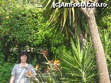 [P32] Pe terasa unde serveam micul dejun. » foto by georgiana
 - 
<span class="allrVoted glyphicon glyphicon-heart hidden" id="av244405"></span>
<a class="m-l-10 hidden" id="sv244405" onclick="voting_Foto_DelVot(,244405,9916)" role="button">șterge vot <span class="glyphicon glyphicon-remove"></span></a>
<a id="v9244405" class=" c-red"  onclick="voting_Foto_SetVot(244405)" role="button"><span class="glyphicon glyphicon-heart-empty"></span> <b>LIKE</b> = Votează poza</a> <img class="hidden"  id="f244405W9" src="/imagini/loader.gif" border="0" /><span class="AjErrMes hidden" id="e244405ErM"></span>