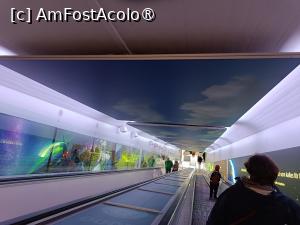 [P81] Stockholm, Skansen, Scara rulantă » foto by mprofeanu
 - 
<span class="allrVoted glyphicon glyphicon-heart hidden" id="av1516554"></span>
<a class="m-l-10 hidden" id="sv1516554" onclick="voting_Foto_DelVot(,1516554,9962)" role="button">șterge vot <span class="glyphicon glyphicon-remove"></span></a>
<a id="v91516554" class=" c-red"  onclick="voting_Foto_SetVot(1516554)" role="button"><span class="glyphicon glyphicon-heart-empty"></span> <b>LIKE</b> = Votează poza</a> <img class="hidden"  id="f1516554W9" src="/imagini/loader.gif" border="0" /><span class="AjErrMes hidden" id="e1516554ErM"></span>