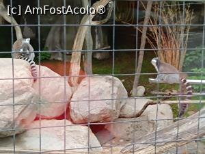 [P83] Stockholm, Skansen » foto by mprofeanu
 - 
<span class="allrVoted glyphicon glyphicon-heart hidden" id="av1516556"></span>
<a class="m-l-10 hidden" id="sv1516556" onclick="voting_Foto_DelVot(,1516556,9962)" role="button">șterge vot <span class="glyphicon glyphicon-remove"></span></a>
<a id="v91516556" class=" c-red"  onclick="voting_Foto_SetVot(1516556)" role="button"><span class="glyphicon glyphicon-heart-empty"></span> <b>LIKE</b> = Votează poza</a> <img class="hidden"  id="f1516556W9" src="/imagini/loader.gif" border="0" /><span class="AjErrMes hidden" id="e1516556ErM"></span>