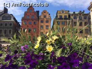 [P30] Cele 2 case olandeze din Piața Stortorget, cu semnături din epoca din care provin (acele semne care se văd pe fațada lor).  » foto by Aurici
 - 
<span class="allrVoted glyphicon glyphicon-heart hidden" id="av799892"></span>
<a class="m-l-10 hidden" id="sv799892" onclick="voting_Foto_DelVot(,799892,9962)" role="button">șterge vot <span class="glyphicon glyphicon-remove"></span></a>
<a id="v9799892" class=" c-red"  onclick="voting_Foto_SetVot(799892)" role="button"><span class="glyphicon glyphicon-heart-empty"></span> <b>LIKE</b> = Votează poza</a> <img class="hidden"  id="f799892W9" src="/imagini/loader.gif" border="0" /><span class="AjErrMes hidden" id="e799892ErM"></span>