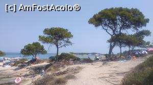 [P09] Karidi Beach - la umbra pinilor » foto by machetrei
 - 
<span class="allrVoted glyphicon glyphicon-heart hidden" id="av1240201"></span>
<a class="m-l-10 hidden" id="sv1240201" onclick="voting_Foto_DelVot(,1240201,9990)" role="button">șterge vot <span class="glyphicon glyphicon-remove"></span></a>
<a id="v91240201" class=" c-red"  onclick="voting_Foto_SetVot(1240201)" role="button"><span class="glyphicon glyphicon-heart-empty"></span> <b>LIKE</b> = Votează poza</a> <img class="hidden"  id="f1240201W9" src="/imagini/loader.gif" border="0" /><span class="AjErrMes hidden" id="e1240201ErM"></span>