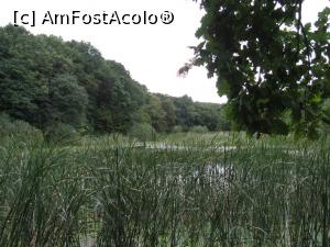 [P06] Lacul cu nuferi - Cătămărăști, lângă Ipotești.  » foto by tata123 🔱
 - 
<span class="allrVoted glyphicon glyphicon-heart hidden" id="av860225"></span>
<a class="m-l-10 hidden" id="sv860225" onclick="voting_Foto_DelVot(,860225,9996)" role="button">șterge vot <span class="glyphicon glyphicon-remove"></span></a>
<a id="v9860225" class=" c-red"  onclick="voting_Foto_SetVot(860225)" role="button"><span class="glyphicon glyphicon-heart-empty"></span> <b>LIKE</b> = Votează poza</a> <img class="hidden"  id="f860225W9" src="/imagini/loader.gif" border="0" /><span class="AjErrMes hidden" id="e860225ErM"></span>