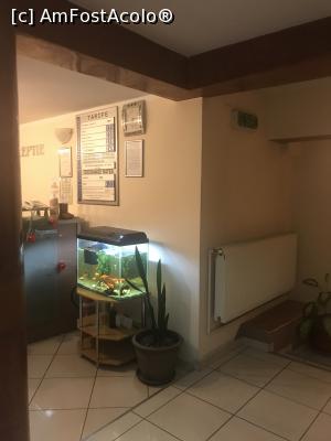 [P11] Apollo Hotel Sibiu, prin recepție » foto by krisstinna
 - 
<span class="allrVoted glyphicon glyphicon-heart hidden" id="av937569"></span>
<a class="m-l-10 hidden" id="sv937569" onclick="voting_Foto_DelVot(,937569,10003)" role="button">șterge vot <span class="glyphicon glyphicon-remove"></span></a>
<a id="v9937569" class=" c-red"  onclick="voting_Foto_SetVot(937569)" role="button"><span class="glyphicon glyphicon-heart-empty"></span> <b>LIKE</b> = Votează poza</a> <img class="hidden"  id="f937569W9" src="/imagini/loader.gif" border="0" /><span class="AjErrMes hidden" id="e937569ErM"></span>