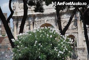[P16] Roma, Arcul lui Constantin » foto by unq
 - 
<span class="allrVoted glyphicon glyphicon-heart hidden" id="av473259"></span>
<a class="m-l-10 hidden" id="sv473259" onclick="voting_Foto_DelVot(,473259,10040)" role="button">șterge vot <span class="glyphicon glyphicon-remove"></span></a>
<a id="v9473259" class=" c-red"  onclick="voting_Foto_SetVot(473259)" role="button"><span class="glyphicon glyphicon-heart-empty"></span> <b>LIKE</b> = Votează poza</a> <img class="hidden"  id="f473259W9" src="/imagini/loader.gif" border="0" /><span class="AjErrMes hidden" id="e473259ErM"></span>