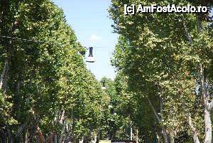 [P09] Roma, cu autobuzul Hop On – Hop off la umbră că facem insolație » foto by unq
 - 
<span class="allrVoted glyphicon glyphicon-heart hidden" id="av473249"></span>
<a class="m-l-10 hidden" id="sv473249" onclick="voting_Foto_DelVot(,473249,10040)" role="button">șterge vot <span class="glyphicon glyphicon-remove"></span></a>
<a id="v9473249" class=" c-red"  onclick="voting_Foto_SetVot(473249)" role="button"><span class="glyphicon glyphicon-heart-empty"></span> <b>LIKE</b> = Votează poza</a> <img class="hidden"  id="f473249W9" src="/imagini/loader.gif" border="0" /><span class="AjErrMes hidden" id="e473249ErM"></span>