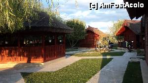 [P02]  -- <small>// FĂRĂ DESCRIERE</small> » foto by maria68
 - 
<span class="allrVoted glyphicon glyphicon-heart hidden" id="av468438"></span>
<a class="m-l-10 hidden" id="sv468438" onclick="voting_Foto_DelVot(,468438,10048)" role="button">șterge vot <span class="glyphicon glyphicon-remove"></span></a>
<a id="v9468438" class=" c-red"  onclick="voting_Foto_SetVot(468438)" role="button"><span class="glyphicon glyphicon-heart-empty"></span> <b>LIKE</b> = Votează poza</a> <img class="hidden"  id="f468438W9" src="/imagini/loader.gif" border="0" /><span class="AjErrMes hidden" id="e468438ErM"></span>