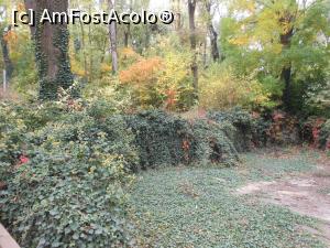 [P06] Plevna - Parcul Skobelev. Toamna și culorile ei.  » foto by iulianic
 - 
<span class="allrVoted glyphicon glyphicon-heart hidden" id="av1031120"></span>
<a class="m-l-10 hidden" id="sv1031120" onclick="voting_Foto_DelVot(,1031120,10059)" role="button">șterge vot <span class="glyphicon glyphicon-remove"></span></a>
<a id="v91031120" class=" c-red"  onclick="voting_Foto_SetVot(1031120)" role="button"><span class="glyphicon glyphicon-heart-empty"></span> <b>LIKE</b> = Votează poza</a> <img class="hidden"  id="f1031120W9" src="/imagini/loader.gif" border="0" /><span class="AjErrMes hidden" id="e1031120ErM"></span>