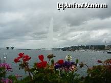 [P16] Geneva » foto by Nicu
 - 
<span class="allrVoted glyphicon glyphicon-heart hidden" id="av489365"></span>
<a class="m-l-10 hidden" id="sv489365" onclick="voting_Foto_DelVot(,489365,10061)" role="button">șterge vot <span class="glyphicon glyphicon-remove"></span></a>
<a id="v9489365" class=" c-red"  onclick="voting_Foto_SetVot(489365)" role="button"><span class="glyphicon glyphicon-heart-empty"></span> <b>LIKE</b> = Votează poza</a> <img class="hidden"  id="f489365W9" src="/imagini/loader.gif" border="0" /><span class="AjErrMes hidden" id="e489365ErM"></span>