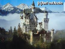 [P23] CASTELUL NEUSCHWANSTEIN - copie dupa o fotografie de la castel » foto by Chien
 - 
<span class="allrVoted glyphicon glyphicon-heart hidden" id="av262776"></span>
<a class="m-l-10 hidden" id="sv262776" onclick="voting_Foto_DelVot(,262776,10061)" role="button">șterge vot <span class="glyphicon glyphicon-remove"></span></a>
<a id="v9262776" class=" c-red"  onclick="voting_Foto_SetVot(262776)" role="button"><span class="glyphicon glyphicon-heart-empty"></span> <b>LIKE</b> = Votează poza</a> <img class="hidden"  id="f262776W9" src="/imagini/loader.gif" border="0" /><span class="AjErrMes hidden" id="e262776ErM"></span>