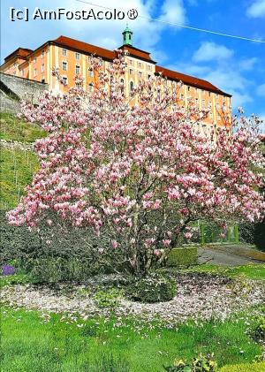 [P42] Meersburg - Neue Schloss » foto by adso <span class="label label-default labelC_thin small">NEVOTABILĂ</span>