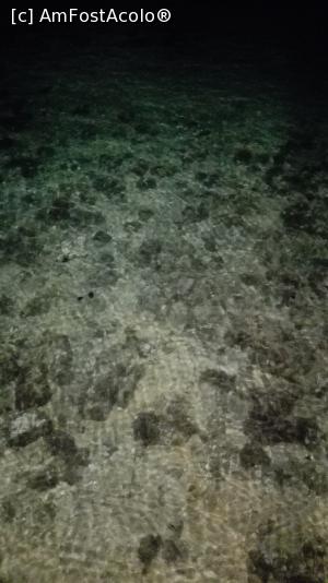 [P02] arici in port » foto by GoMa
 - 
<span class="allrVoted glyphicon glyphicon-heart hidden" id="av762304"></span>
<a class="m-l-10 hidden" id="sv762304" onclick="voting_Foto_DelVot(,762304,10079)" role="button">șterge vot <span class="glyphicon glyphicon-remove"></span></a>
<a id="v9762304" class=" c-red"  onclick="voting_Foto_SetVot(762304)" role="button"><span class="glyphicon glyphicon-heart-empty"></span> <b>LIKE</b> = Votează poza</a> <img class="hidden"  id="f762304W9" src="/imagini/loader.gif" border="0" /><span class="AjErrMes hidden" id="e762304ErM"></span>