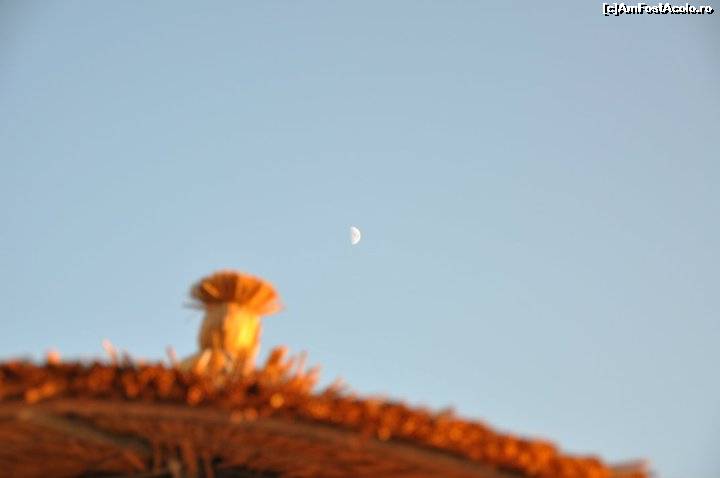 [P22] si luna... » foto by Adina - addcont
 - 
<span class="allrVoted glyphicon glyphicon-heart hidden" id="av629031"></span>
<a class="m-l-10 hidden" id="sv629031" onclick="voting_Foto_DelVot(,629031,10079)" role="button">șterge vot <span class="glyphicon glyphicon-remove"></span></a>
<a id="v9629031" class=" c-red"  onclick="voting_Foto_SetVot(629031)" role="button"><span class="glyphicon glyphicon-heart-empty"></span> <b>LIKE</b> = Votează poza</a> <img class="hidden"  id="f629031W9" src="/imagini/loader.gif" border="0" /><span class="AjErrMes hidden" id="e629031ErM"></span>