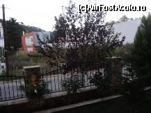 [P22]  -- <small>// FĂRĂ DESCRIERE</small> » foto by flori_floricika
 - 
<span class="allrVoted glyphicon glyphicon-heart hidden" id="av377656"></span>
<a class="m-l-10 hidden" id="sv377656" onclick="voting_Foto_DelVot(,377656,10085)" role="button">șterge vot <span class="glyphicon glyphicon-remove"></span></a>
<a id="v9377656" class=" c-red"  onclick="voting_Foto_SetVot(377656)" role="button"><span class="glyphicon glyphicon-heart-empty"></span> <b>LIKE</b> = Votează poza</a> <img class="hidden"  id="f377656W9" src="/imagini/loader.gif" border="0" /><span class="AjErrMes hidden" id="e377656ErM"></span>