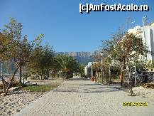 [P41] Faleza din Golden Beach » foto by flori_floricika
 - 
<span class="allrVoted glyphicon glyphicon-heart hidden" id="av377699"></span>
<a class="m-l-10 hidden" id="sv377699" onclick="voting_Foto_DelVot(,377699,10085)" role="button">șterge vot <span class="glyphicon glyphicon-remove"></span></a>
<a id="v9377699" class=" c-red"  onclick="voting_Foto_SetVot(377699)" role="button"><span class="glyphicon glyphicon-heart-empty"></span> <b>LIKE</b> = Votează poza</a> <img class="hidden"  id="f377699W9" src="/imagini/loader.gif" border="0" /><span class="AjErrMes hidden" id="e377699ErM"></span>