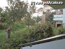 [P10] gradina hotelului » foto by gianimary
 - 
<span class="allrVoted glyphicon glyphicon-heart hidden" id="av252182"></span>
<a class="m-l-10 hidden" id="sv252182" onclick="voting_Foto_DelVot(,252182,10114)" role="button">șterge vot <span class="glyphicon glyphicon-remove"></span></a>
<a id="v9252182" class=" c-red"  onclick="voting_Foto_SetVot(252182)" role="button"><span class="glyphicon glyphicon-heart-empty"></span> <b>LIKE</b> = Votează poza</a> <img class="hidden"  id="f252182W9" src="/imagini/loader.gif" border="0" /><span class="AjErrMes hidden" id="e252182ErM"></span>