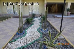 [P30] intrarea in cladire » foto by vacantamea2012
 - 
<span class="allrVoted glyphicon glyphicon-heart hidden" id="av1196999"></span>
<a class="m-l-10 hidden" id="sv1196999" onclick="voting_Foto_DelVot(,1196999,10127)" role="button">șterge vot <span class="glyphicon glyphicon-remove"></span></a>
<a id="v91196999" class=" c-red"  onclick="voting_Foto_SetVot(1196999)" role="button"><span class="glyphicon glyphicon-heart-empty"></span> <b>LIKE</b> = Votează poza</a> <img class="hidden"  id="f1196999W9" src="/imagini/loader.gif" border="0" /><span class="AjErrMes hidden" id="e1196999ErM"></span>