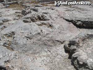 [P11] 11. Luciul pietrei Acropolei, căpătat prin miliardele de pași ce-au străbătut-o de-a lungul veacurilor. » foto by doinafil
 - 
<span class="allrVoted glyphicon glyphicon-heart hidden" id="av704692"></span>
<a class="m-l-10 hidden" id="sv704692" onclick="voting_Foto_DelVot(,704692,10140)" role="button">șterge vot <span class="glyphicon glyphicon-remove"></span></a>
<a id="v9704692" class=" c-red"  onclick="voting_Foto_SetVot(704692)" role="button"><span class="glyphicon glyphicon-heart-empty"></span> <b>LIKE</b> = Votează poza</a> <img class="hidden"  id="f704692W9" src="/imagini/loader.gif" border="0" /><span class="AjErrMes hidden" id="e704692ErM"></span>