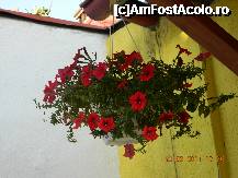 [P11]  -- <small>// FĂRĂ DESCRIERE</small> » foto by tamar*
 - 
<span class="allrVoted glyphicon glyphicon-heart hidden" id="av254300"></span>
<a class="m-l-10 hidden" id="sv254300" onclick="voting_Foto_DelVot(,254300,10167)" role="button">șterge vot <span class="glyphicon glyphicon-remove"></span></a>
<a id="v9254300" class=" c-red"  onclick="voting_Foto_SetVot(254300)" role="button"><span class="glyphicon glyphicon-heart-empty"></span> <b>LIKE</b> = Votează poza</a> <img class="hidden"  id="f254300W9" src="/imagini/loader.gif" border="0" /><span class="AjErrMes hidden" id="e254300ErM"></span>