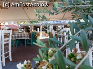 [P23] taverna Dionisos » foto by Paloma
 - 
<span class="allrVoted glyphicon glyphicon-heart hidden" id="av1274271"></span>
<a class="m-l-10 hidden" id="sv1274271" onclick="voting_Foto_DelVot(,1274271,10169)" role="button">șterge vot <span class="glyphicon glyphicon-remove"></span></a>
<a id="v91274271" class=" c-red"  onclick="voting_Foto_SetVot(1274271)" role="button"><span class="glyphicon glyphicon-heart-empty"></span> <b>LIKE</b> = Votează poza</a> <img class="hidden"  id="f1274271W9" src="/imagini/loader.gif" border="0" /><span class="AjErrMes hidden" id="e1274271ErM"></span>