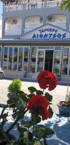 [P26] taverna Dionisos » foto by Paloma
 - 
<span class="allrVoted glyphicon glyphicon-heart hidden" id="av1274274"></span>
<a class="m-l-10 hidden" id="sv1274274" onclick="voting_Foto_DelVot(,1274274,10169)" role="button">șterge vot <span class="glyphicon glyphicon-remove"></span></a>
<a id="v91274274" class=" c-red"  onclick="voting_Foto_SetVot(1274274)" role="button"><span class="glyphicon glyphicon-heart-empty"></span> <b>LIKE</b> = Votează poza</a> <img class="hidden"  id="f1274274W9" src="/imagini/loader.gif" border="0" /><span class="AjErrMes hidden" id="e1274274ErM"></span>