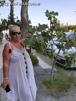 [P40] smochin pe strada in vecinatatea hotelului » foto by Paloma
 - 
<span class="allrVoted glyphicon glyphicon-heart hidden" id="av1274288"></span>
<a class="m-l-10 hidden" id="sv1274288" onclick="voting_Foto_DelVot(,1274288,10169)" role="button">șterge vot <span class="glyphicon glyphicon-remove"></span></a>
<a id="v91274288" class=" c-red"  onclick="voting_Foto_SetVot(1274288)" role="button"><span class="glyphicon glyphicon-heart-empty"></span> <b>LIKE</b> = Votează poza</a> <img class="hidden"  id="f1274288W9" src="/imagini/loader.gif" border="0" /><span class="AjErrMes hidden" id="e1274288ErM"></span>