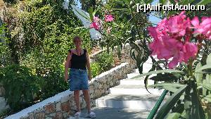 [P18] In Skiathos.  » foto by goguta99
 - 
<span class="allrVoted glyphicon glyphicon-heart hidden" id="av642827"></span>
<a class="m-l-10 hidden" id="sv642827" onclick="voting_Foto_DelVot(,642827,10169)" role="button">șterge vot <span class="glyphicon glyphicon-remove"></span></a>
<a id="v9642827" class=" c-red"  onclick="voting_Foto_SetVot(642827)" role="button"><span class="glyphicon glyphicon-heart-empty"></span> <b>LIKE</b> = Votează poza</a> <img class="hidden"  id="f642827W9" src="/imagini/loader.gif" border="0" /><span class="AjErrMes hidden" id="e642827ErM"></span>