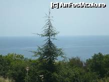 [P11]  -- <small>// FĂRĂ DESCRIERE</small> » foto by Catalin S.
 - 
<span class="allrVoted glyphicon glyphicon-heart hidden" id="av254909"></span>
<a class="m-l-10 hidden" id="sv254909" onclick="voting_Foto_DelVot(,254909,10177)" role="button">șterge vot <span class="glyphicon glyphicon-remove"></span></a>
<a id="v9254909" class=" c-red"  onclick="voting_Foto_SetVot(254909)" role="button"><span class="glyphicon glyphicon-heart-empty"></span> <b>LIKE</b> = Votează poza</a> <img class="hidden"  id="f254909W9" src="/imagini/loader.gif" border="0" /><span class="AjErrMes hidden" id="e254909ErM"></span>