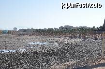 [P24] Plaja de la Beach Albatros Palace la reflux » foto by MirceaG
 - 
<span class="allrVoted glyphicon glyphicon-heart hidden" id="av255411"></span>
<a class="m-l-10 hidden" id="sv255411" onclick="voting_Foto_DelVot(,255411,10186)" role="button">șterge vot <span class="glyphicon glyphicon-remove"></span></a>
<a id="v9255411" class=" c-red"  onclick="voting_Foto_SetVot(255411)" role="button"><span class="glyphicon glyphicon-heart-empty"></span> <b>LIKE</b> = Votează poza</a> <img class="hidden"  id="f255411W9" src="/imagini/loader.gif" border="0" /><span class="AjErrMes hidden" id="e255411ErM"></span>