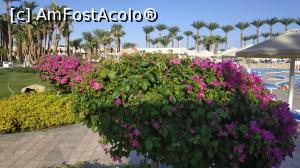 [P08] gradina frumos amenajata de langa piscina » foto by elenaadina
 - 
<span class="allrVoted glyphicon glyphicon-heart hidden" id="av1279278"></span>
<a class="m-l-10 hidden" id="sv1279278" onclick="voting_Foto_DelVot(,1279278,10186)" role="button">șterge vot <span class="glyphicon glyphicon-remove"></span></a>
<a id="v91279278" class=" c-red"  onclick="voting_Foto_SetVot(1279278)" role="button"><span class="glyphicon glyphicon-heart-empty"></span> <b>LIKE</b> = Votează poza</a> <img class="hidden"  id="f1279278W9" src="/imagini/loader.gif" border="0" /><span class="AjErrMes hidden" id="e1279278ErM"></span>
