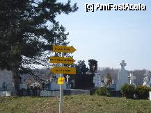 [P04] Manastirea Cernica - partea mai recenta a cimitirului » foto by Diaura*
 - 
<span class="allrVoted glyphicon glyphicon-heart hidden" id="av58128"></span>
<a class="m-l-10 hidden" id="sv58128" onclick="voting_Foto_DelVot(,58128,10204)" role="button">șterge vot <span class="glyphicon glyphicon-remove"></span></a>
<a id="v958128" class=" c-red"  onclick="voting_Foto_SetVot(58128)" role="button"><span class="glyphicon glyphicon-heart-empty"></span> <b>LIKE</b> = Votează poza</a> <img class="hidden"  id="f58128W9" src="/imagini/loader.gif" border="0" /><span class="AjErrMes hidden" id="e58128ErM"></span>