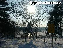 [P18] Manastirea Cernica - vedere spre zona lacului » foto by magdalena
 - 
<span class="allrVoted glyphicon glyphicon-heart hidden" id="av185267"></span>
<a class="m-l-10 hidden" id="sv185267" onclick="voting_Foto_DelVot(,185267,10204)" role="button">șterge vot <span class="glyphicon glyphicon-remove"></span></a>
<a id="v9185267" class=" c-red"  onclick="voting_Foto_SetVot(185267)" role="button"><span class="glyphicon glyphicon-heart-empty"></span> <b>LIKE</b> = Votează poza</a> <img class="hidden"  id="f185267W9" src="/imagini/loader.gif" border="0" /><span class="AjErrMes hidden" id="e185267ErM"></span>