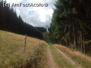 [P14] Langenwaldschanze » foto by adso
 - 
<span class="allrVoted glyphicon glyphicon-heart hidden" id="av1284067"></span>
<a class="m-l-10 hidden" id="sv1284067" onclick="voting_Foto_DelVot(,1284067,10219)" role="button">șterge vot <span class="glyphicon glyphicon-remove"></span></a>
<a id="v91284067" class=" c-red"  onclick="voting_Foto_SetVot(1284067)" role="button"><span class="glyphicon glyphicon-heart-empty"></span> <b>LIKE</b> = Votează poza</a> <img class="hidden"  id="f1284067W9" src="/imagini/loader.gif" border="0" /><span class="AjErrMes hidden" id="e1284067ErM"></span>