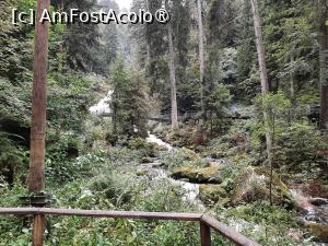[P10] Cascada » foto by adso
 - 
<span class="allrVoted glyphicon glyphicon-heart hidden" id="av1398194"></span>
<a class="m-l-10 hidden" id="sv1398194" onclick="voting_Foto_DelVot(,1398194,10219)" role="button">șterge vot <span class="glyphicon glyphicon-remove"></span></a>
<a id="v91398194" class=" c-red"  onclick="voting_Foto_SetVot(1398194)" role="button"><span class="glyphicon glyphicon-heart-empty"></span> <b>LIKE</b> = Votează poza</a> <img class="hidden"  id="f1398194W9" src="/imagini/loader.gif" border="0" /><span class="AjErrMes hidden" id="e1398194ErM"></span>