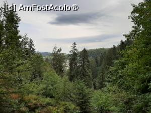 [P23] Triberg (peste brazi) » foto by adso
 - 
<span class="allrVoted glyphicon glyphicon-heart hidden" id="av1398207"></span>
<a class="m-l-10 hidden" id="sv1398207" onclick="voting_Foto_DelVot(,1398207,10219)" role="button">șterge vot <span class="glyphicon glyphicon-remove"></span></a>
<a id="v91398207" class=" c-red"  onclick="voting_Foto_SetVot(1398207)" role="button"><span class="glyphicon glyphicon-heart-empty"></span> <b>LIKE</b> = Votează poza</a> <img class="hidden"  id="f1398207W9" src="/imagini/loader.gif" border="0" /><span class="AjErrMes hidden" id="e1398207ErM"></span>