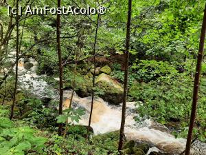 [P08] Cascada » foto by adso
 - 
<span class="allrVoted glyphicon glyphicon-heart hidden" id="av1398192"></span>
<a class="m-l-10 hidden" id="sv1398192" onclick="voting_Foto_DelVot(,1398192,10219)" role="button">șterge vot <span class="glyphicon glyphicon-remove"></span></a>
<a id="v91398192" class=" c-red"  onclick="voting_Foto_SetVot(1398192)" role="button"><span class="glyphicon glyphicon-heart-empty"></span> <b>LIKE</b> = Votează poza</a> <img class="hidden"  id="f1398192W9" src="/imagini/loader.gif" border="0" /><span class="AjErrMes hidden" id="e1398192ErM"></span>