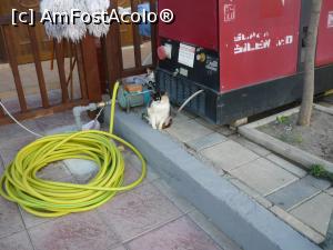 [P07] Velipoje, linga statia unde oprea furgonul, paznicul de la generatorul pt curent, erau pregatiti pentru pene de curent.  » foto by Nicu
 - 
<span class="allrVoted glyphicon glyphicon-heart hidden" id="av711731"></span>
<a class="m-l-10 hidden" id="sv711731" onclick="voting_Foto_DelVot(,711731,10220)" role="button">șterge vot <span class="glyphicon glyphicon-remove"></span></a>
<a id="v9711731" class=" c-red"  onclick="voting_Foto_SetVot(711731)" role="button"><span class="glyphicon glyphicon-heart-empty"></span> <b>LIKE</b> = Votează poza</a> <img class="hidden"  id="f711731W9" src="/imagini/loader.gif" border="0" /><span class="AjErrMes hidden" id="e711731ErM"></span>