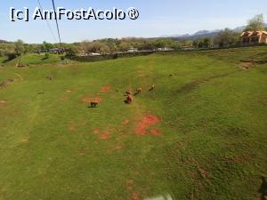 [P03] safari park Cabárceno » foto by kemi27
 - 
<span class="allrVoted glyphicon glyphicon-heart hidden" id="av1424284"></span>
<a class="m-l-10 hidden" id="sv1424284" onclick="voting_Foto_DelVot(,1424284,10231)" role="button">șterge vot <span class="glyphicon glyphicon-remove"></span></a>
<a id="v91424284" class=" c-red"  onclick="voting_Foto_SetVot(1424284)" role="button"><span class="glyphicon glyphicon-heart-empty"></span> <b>LIKE</b> = Votează poza</a> <img class="hidden"  id="f1424284W9" src="/imagini/loader.gif" border="0" /><span class="AjErrMes hidden" id="e1424284ErM"></span>