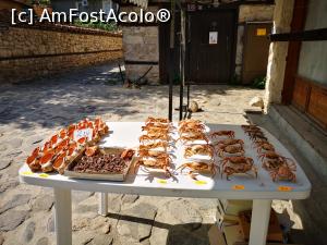 [P40] La plimbare prin romanticul Nesebar » foto by crismis
 - 
<span class="allrVoted glyphicon glyphicon-heart hidden" id="av1322193"></span>
<a class="m-l-10 hidden" id="sv1322193" onclick="voting_Foto_DelVot(,1322193,10232)" role="button">șterge vot <span class="glyphicon glyphicon-remove"></span></a>
<a id="v91322193" class=" c-red"  onclick="voting_Foto_SetVot(1322193)" role="button"><span class="glyphicon glyphicon-heart-empty"></span> <b>LIKE</b> = Votează poza</a> <img class="hidden"  id="f1322193W9" src="/imagini/loader.gif" border="0" /><span class="AjErrMes hidden" id="e1322193ErM"></span>