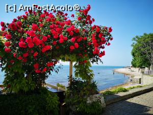 [P41] La plimbare prin romanticul Nesebar » foto by crismis
 - 
<span class="allrVoted glyphicon glyphicon-heart hidden" id="av1322194"></span>
<a class="m-l-10 hidden" id="sv1322194" onclick="voting_Foto_DelVot(,1322194,10232)" role="button">șterge vot <span class="glyphicon glyphicon-remove"></span></a>
<a id="v91322194" class=" c-red"  onclick="voting_Foto_SetVot(1322194)" role="button"><span class="glyphicon glyphicon-heart-empty"></span> <b>LIKE</b> = Votează poza</a> <img class="hidden"  id="f1322194W9" src="/imagini/loader.gif" border="0" /><span class="AjErrMes hidden" id="e1322194ErM"></span>