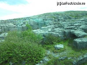 [P16] Cam asta se vede tot drumul... limestone.  » foto by ariciu*
 - 
<span class="allrVoted glyphicon glyphicon-heart hidden" id="av511332"></span>
<a class="m-l-10 hidden" id="sv511332" onclick="voting_Foto_DelVot(,511332,10242)" role="button">șterge vot <span class="glyphicon glyphicon-remove"></span></a>
<a id="v9511332" class=" c-red"  onclick="voting_Foto_SetVot(511332)" role="button"><span class="glyphicon glyphicon-heart-empty"></span> <b>LIKE</b> = Votează poza</a> <img class="hidden"  id="f511332W9" src="/imagini/loader.gif" border="0" /><span class="AjErrMes hidden" id="e511332ErM"></span>
